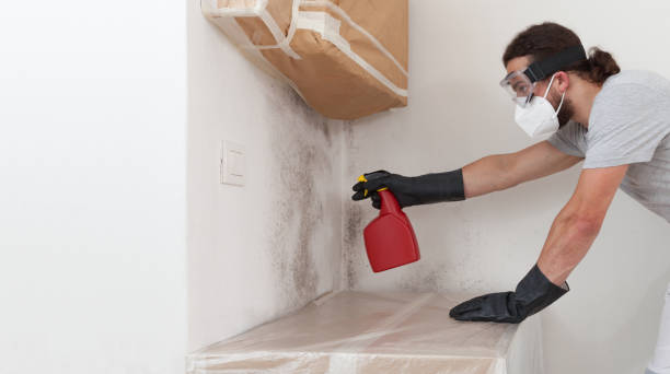 Professional Attic Mold Remediation technician working in Sanibel, FL